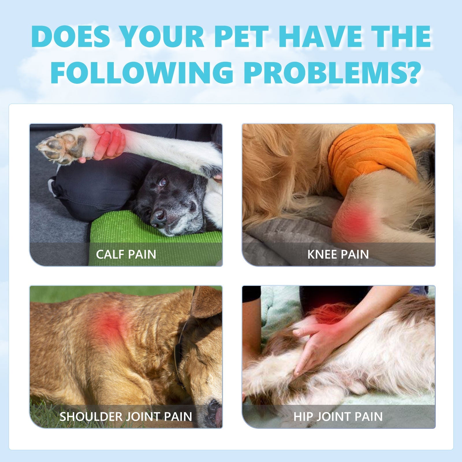 Pet Glucosamine Drops Relieve Pain Of Bones And Joints For Pets Body Care For Cats And Dogs