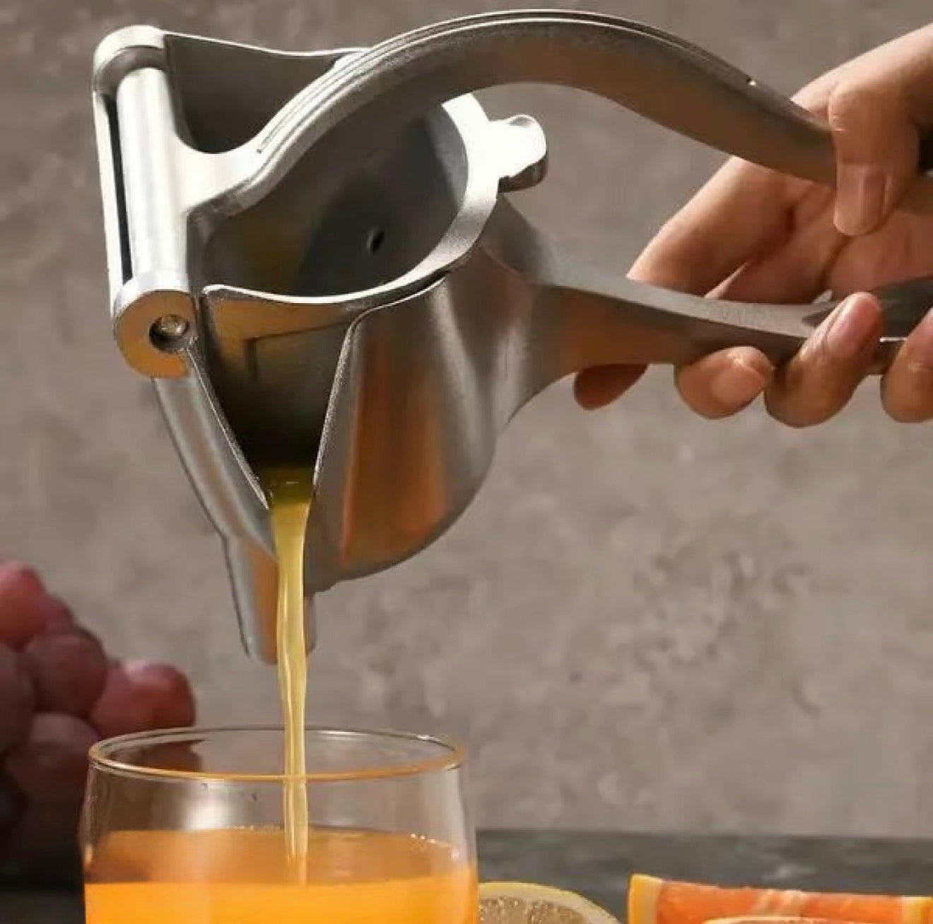 JuiceMaster Manual Press