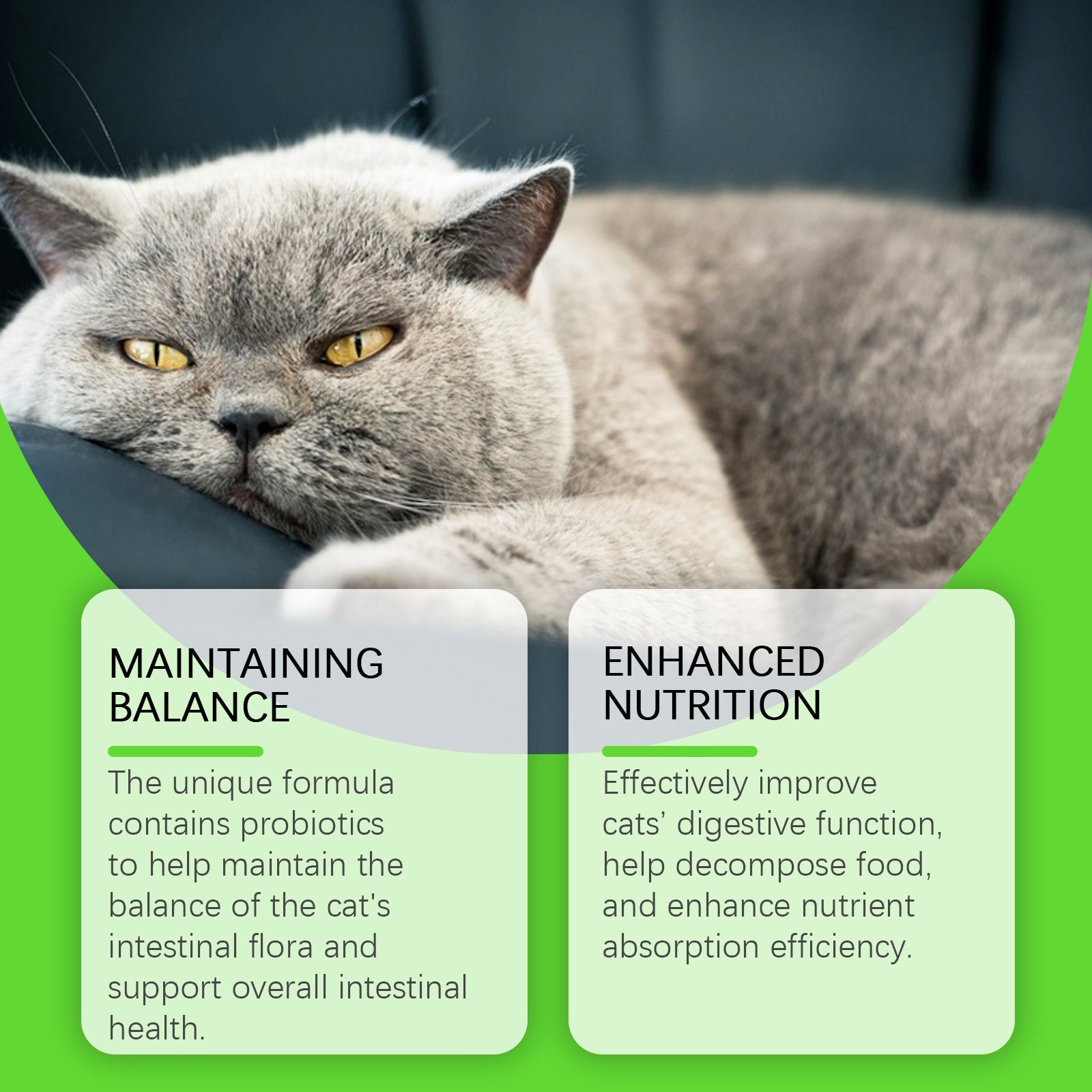 Cats With Probiotic Drops, Care For Cats Health And Vitality Care Absorb Nutritional Supplements