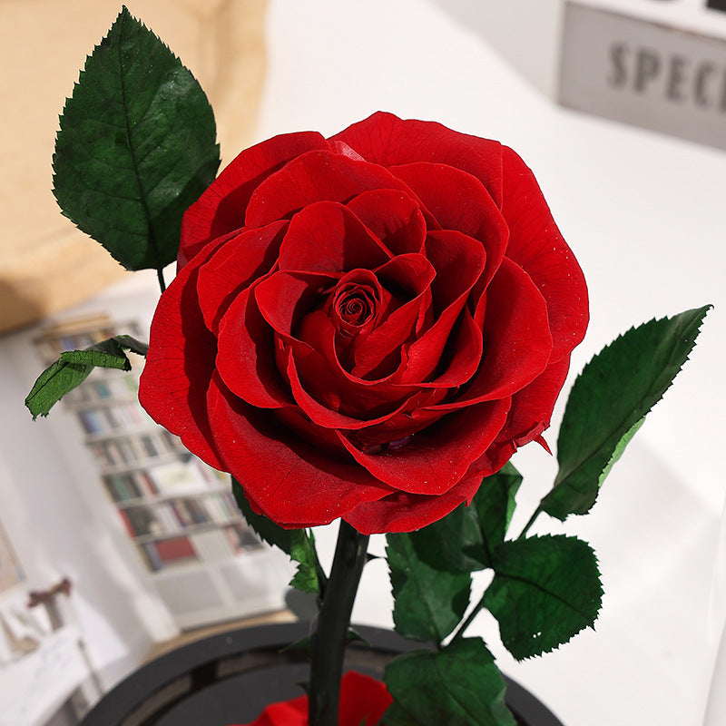 Christmas Valentine's Day Creative Gift Gift for Girlfriend Glass Cover Eternal Flower Gift Box Eternal Rose Gift Ornament