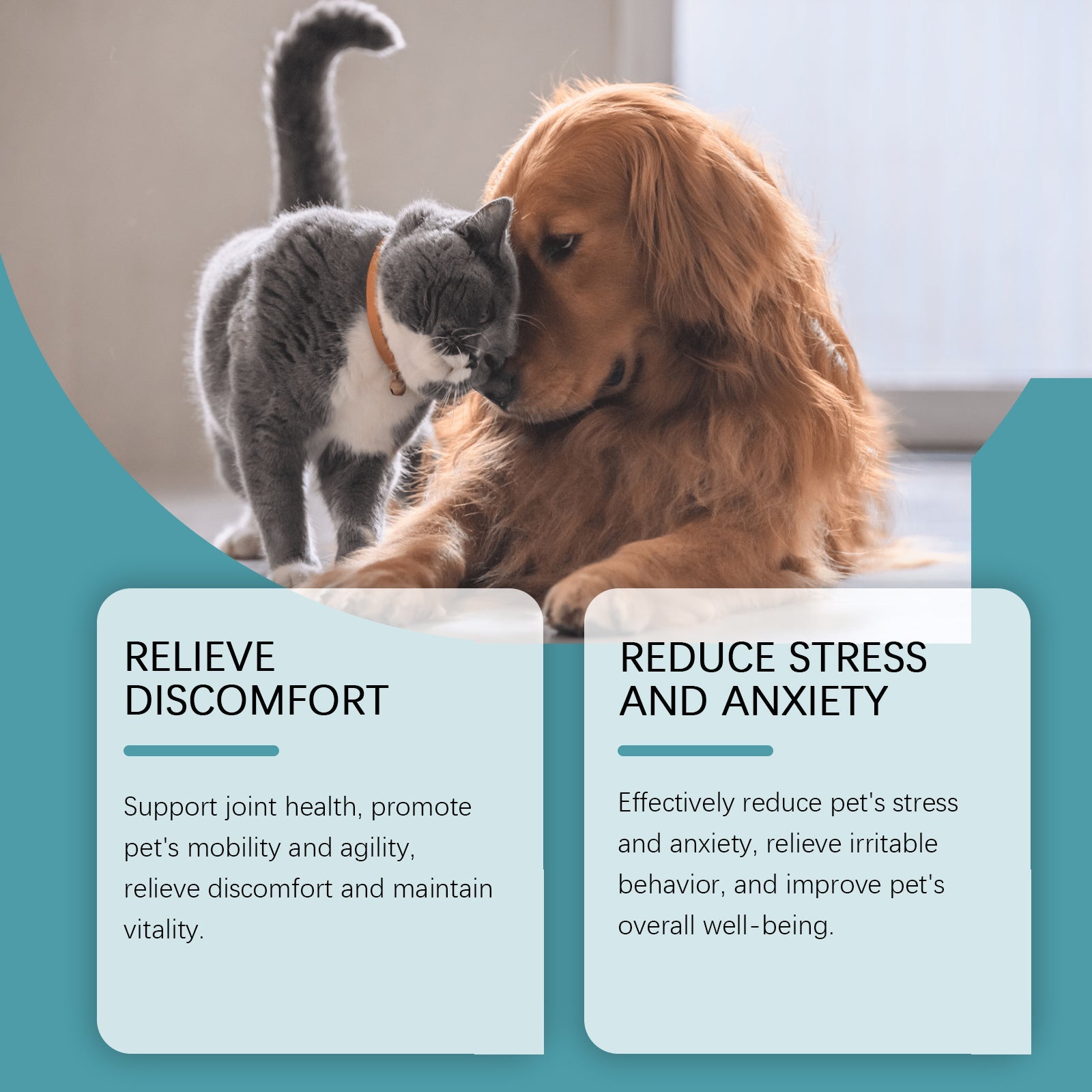 Pet Food Supplement Care For Pets Physical Discomfort Daily Care Food Supplement
