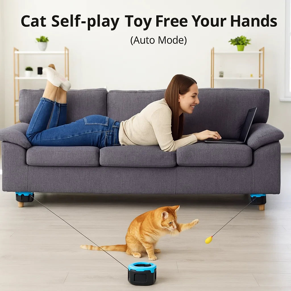FeatherRun Cat Toy